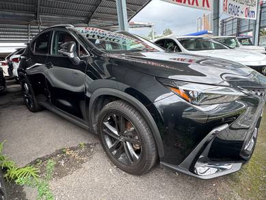 Lexus NX 250 LUXURY in Cheras, KUL
