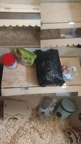 Hamster Cage & Accessories