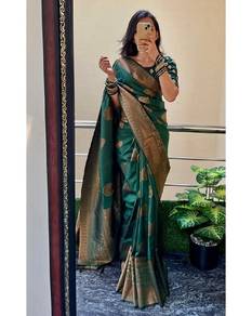 Saree Collection 