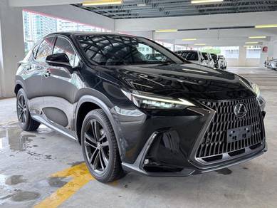 Lexus NX 250 LUXURY in Sungai Besi, KUL
