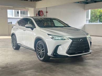 2023 Lexus NX 250 LUXURY