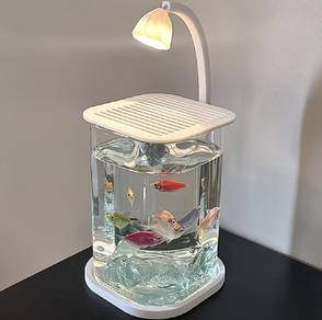 Mini Fish Tank Aquarium