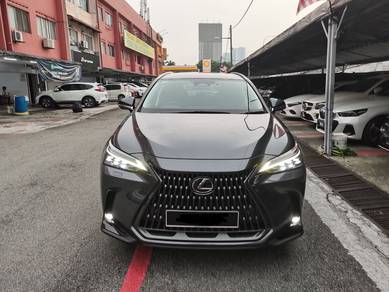 Lexus NX 250 LUXURY in Cheras, KUL