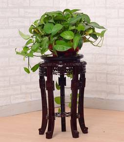 Chinese Garden Plant Display Mini Stand Rack Plant