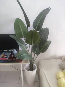 Pokok Pisang Hiasan Viral (Skybird) 160cm