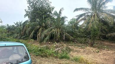 Agricultural Land in Ayer Baloi, JHR