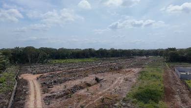Agricultural Land in Telok Panglima Garang, SGR