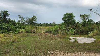 Agricultural Land in Gelang Patah, JHR