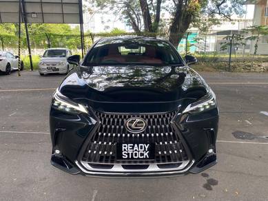 2024 Lexus NX 250 LUXURY