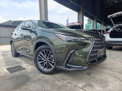 Lexus NX 250 BASE GRADE in Chan Sow Lin, KUL