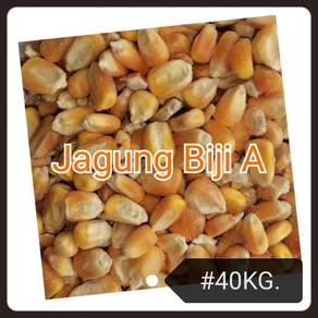 Jagung Corn A Bird Chicken Duck Feed Food 40kg