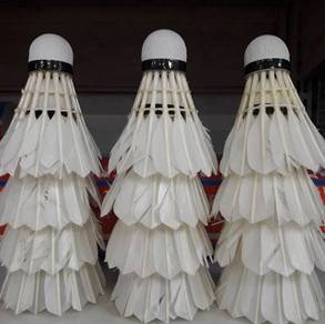 Used Shuttlecock
