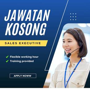 Sales Executive