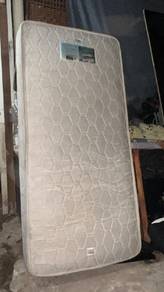 tilam single kingkoil elok
