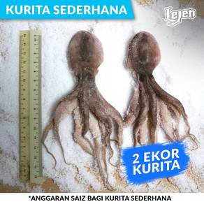 Sotong Kurita Pair Octopus Fishing Bait Pancing