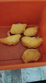 durian musang king 