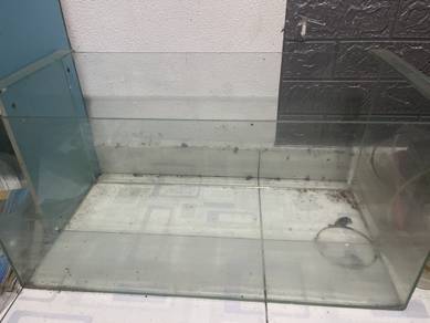 aquarium 2ft