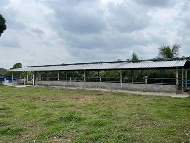 Agricultural Land in Alor Gajah, MLK