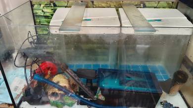 akuarium 2X4 kaki untuk dijual