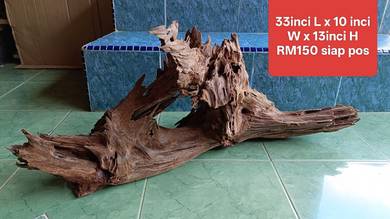 Driftwood besar untuk akuarium 4-6kaki