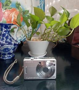 SONY DSC W-50 CYBER-SHOT CAMERA (Carl Zeiss Len)