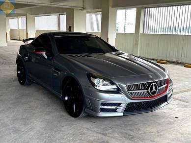 2011 Mercedes Benz SLK250 250 BlueEFFICIENCY
