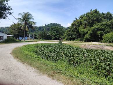 Others For Sale in Permatang Pauh,PNG
