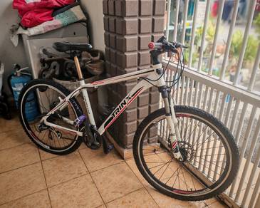 3 units bicycles (buy 2 free 1 unit)