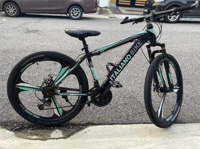 Adult size bicycle