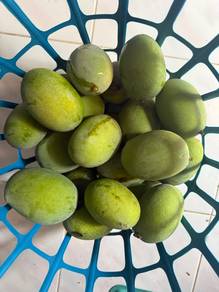Buah kuini manis