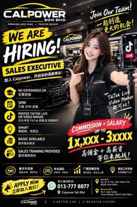 USED CAR  SALES EXECUTIVE WANTED  High Commision