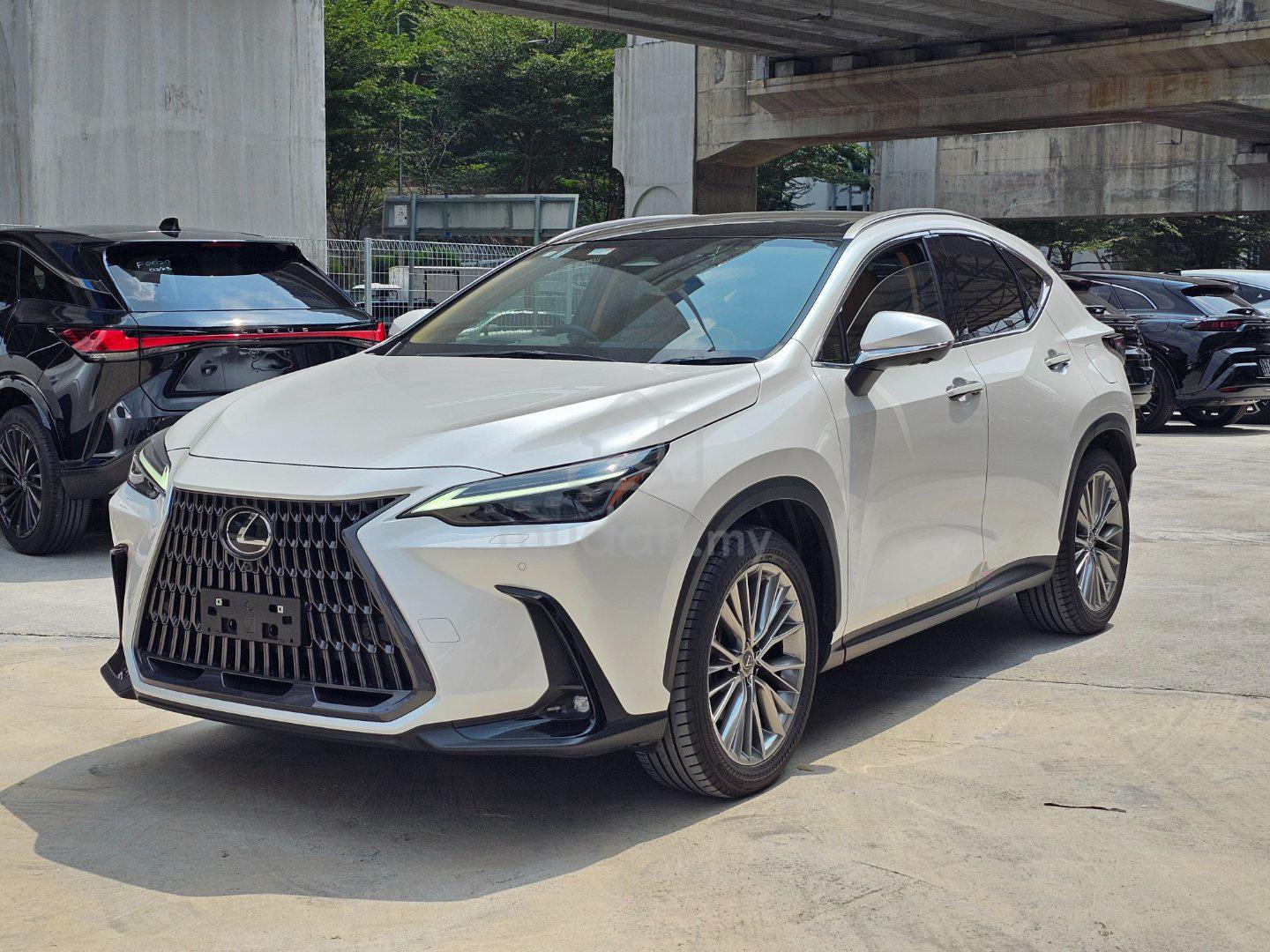 2023 Lexus NX