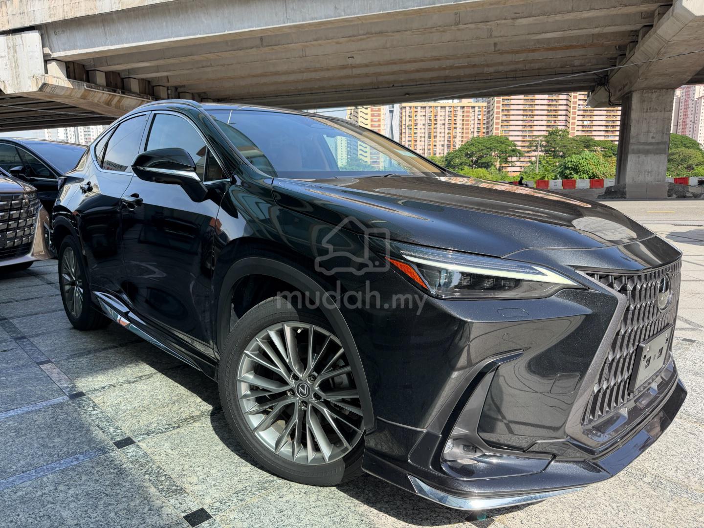 2023 Lexus NX