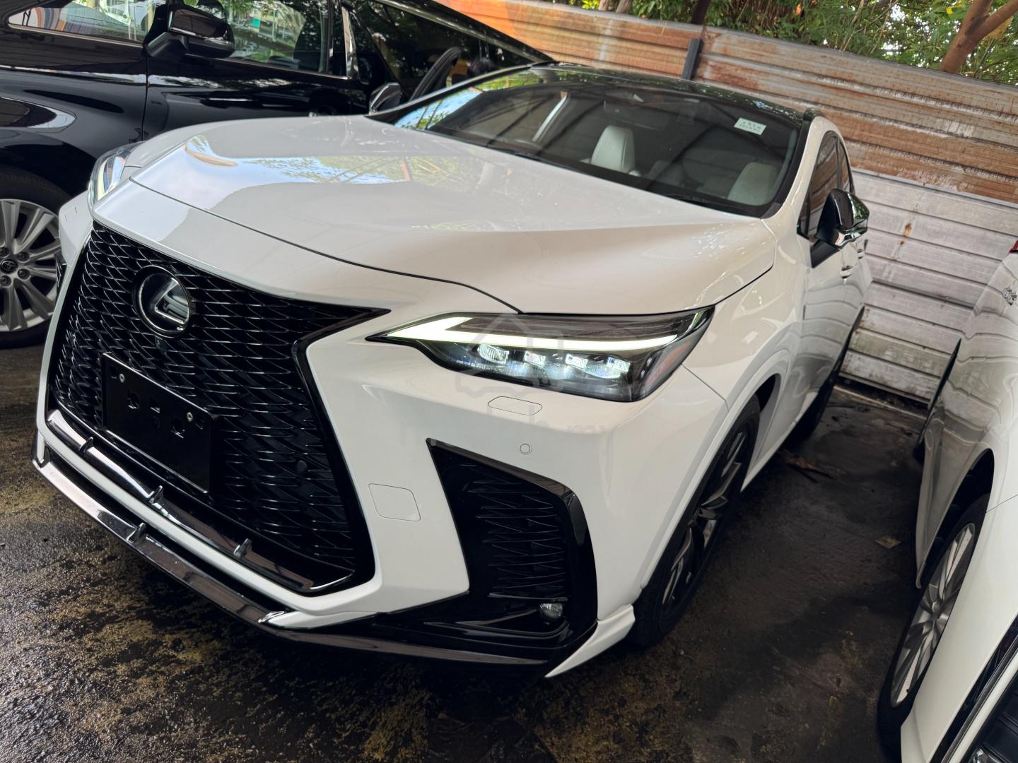 2022 Lexus NX