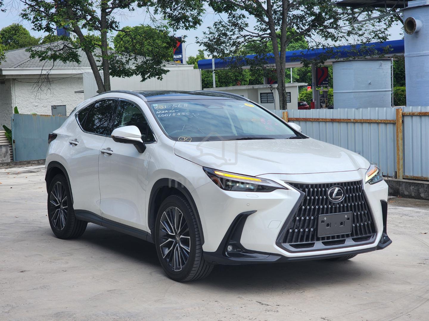 2023 Lexus NX