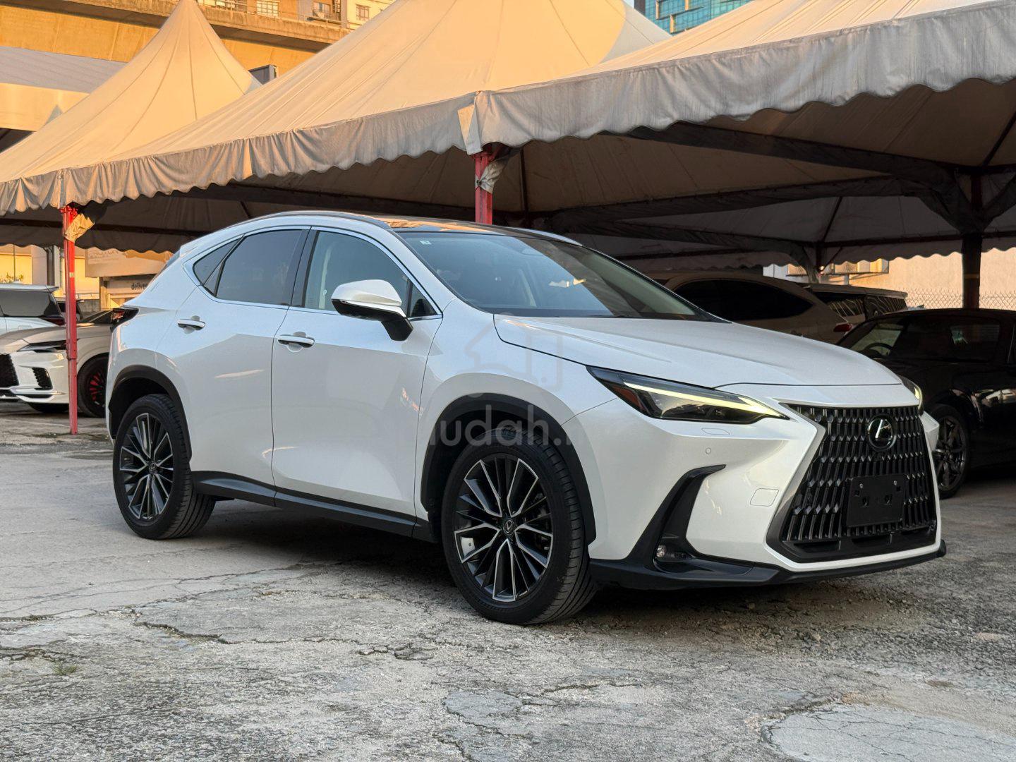 2023 Lexus NX