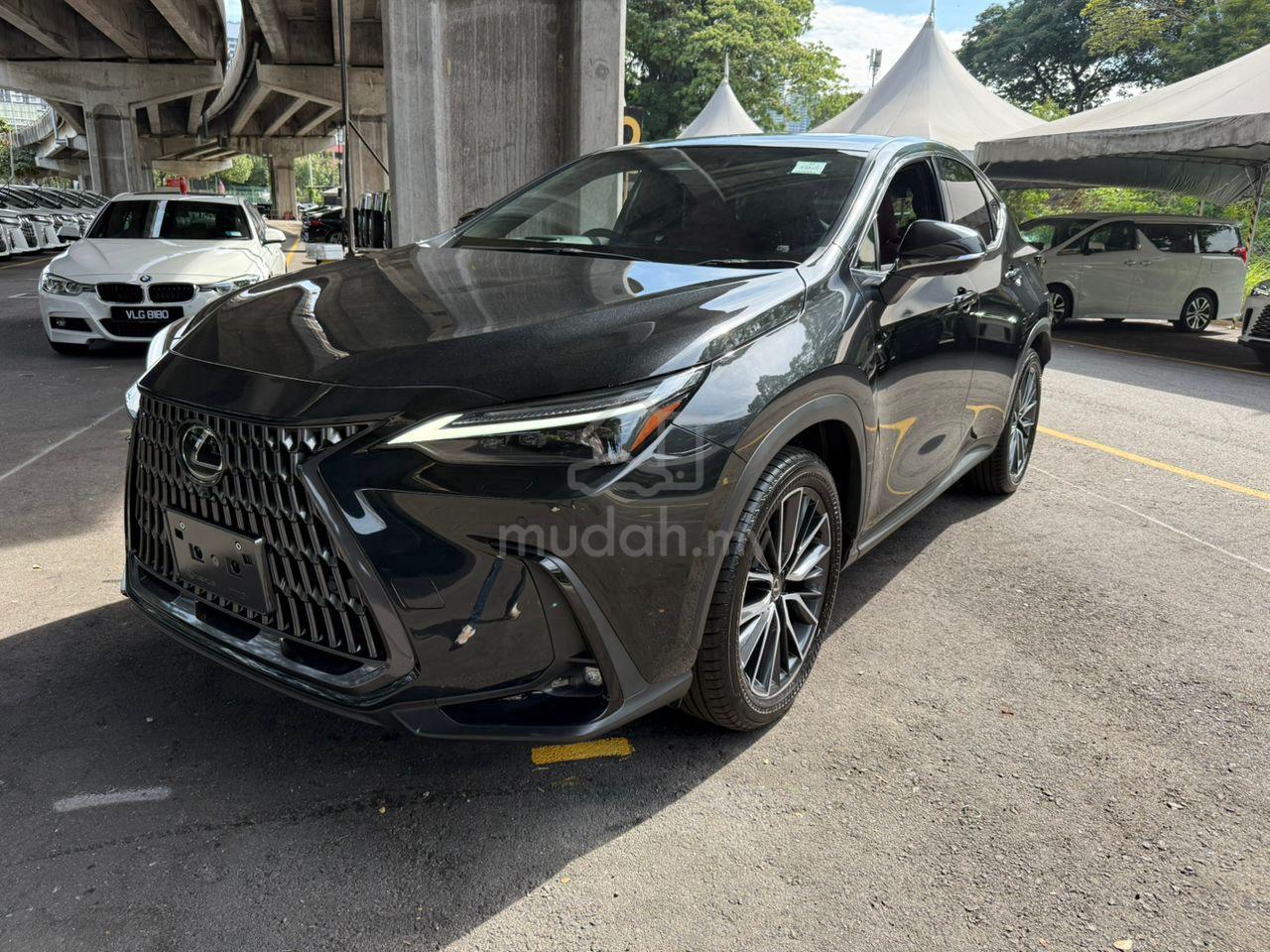 2024 Lexus NX