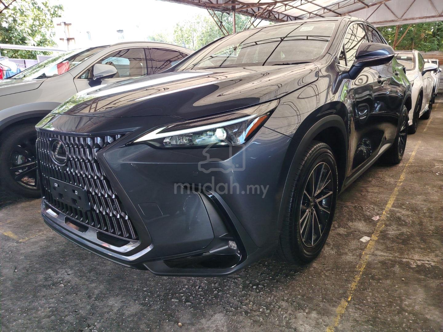 2024 Lexus NX