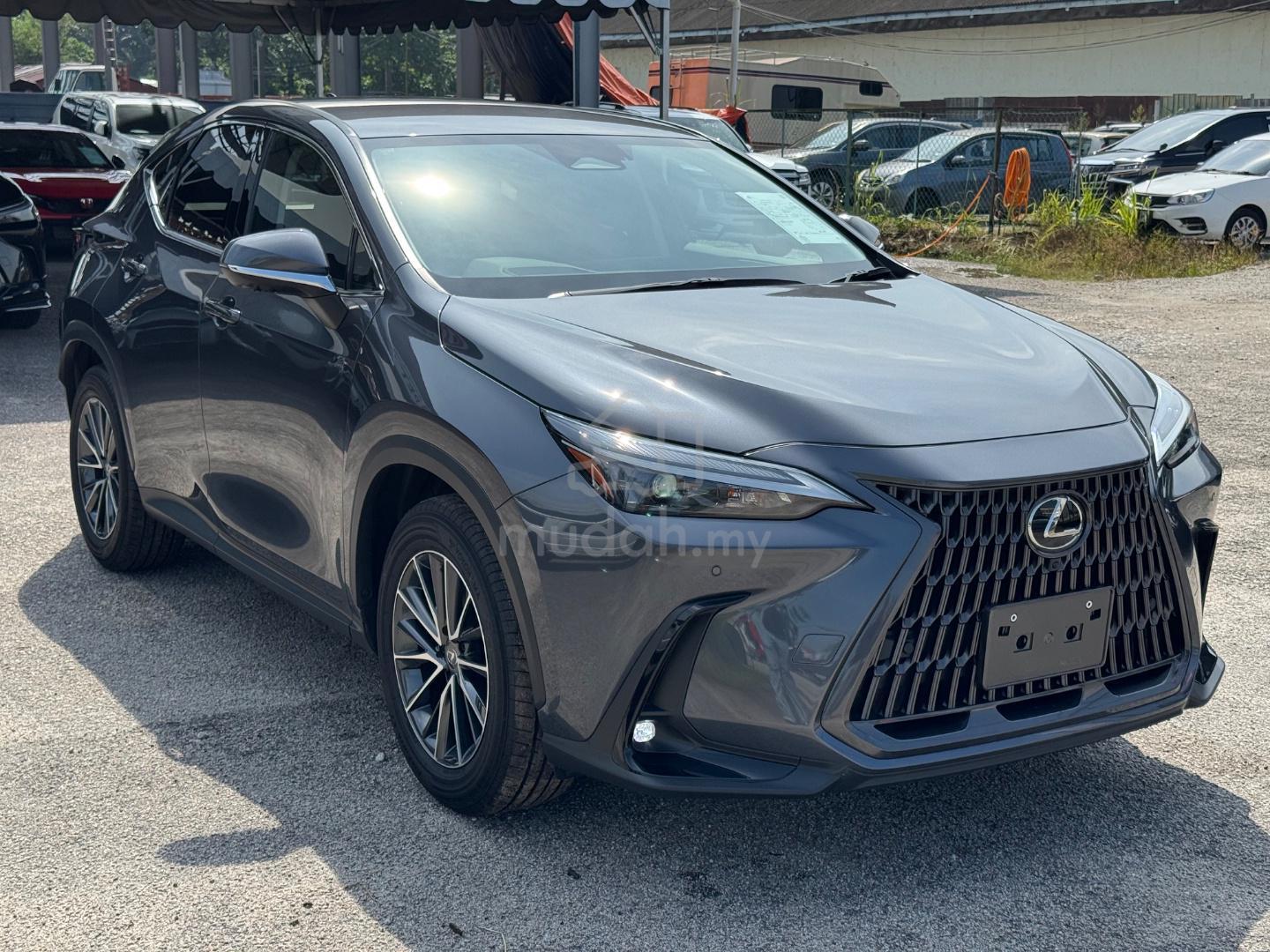 2024 Lexus NX