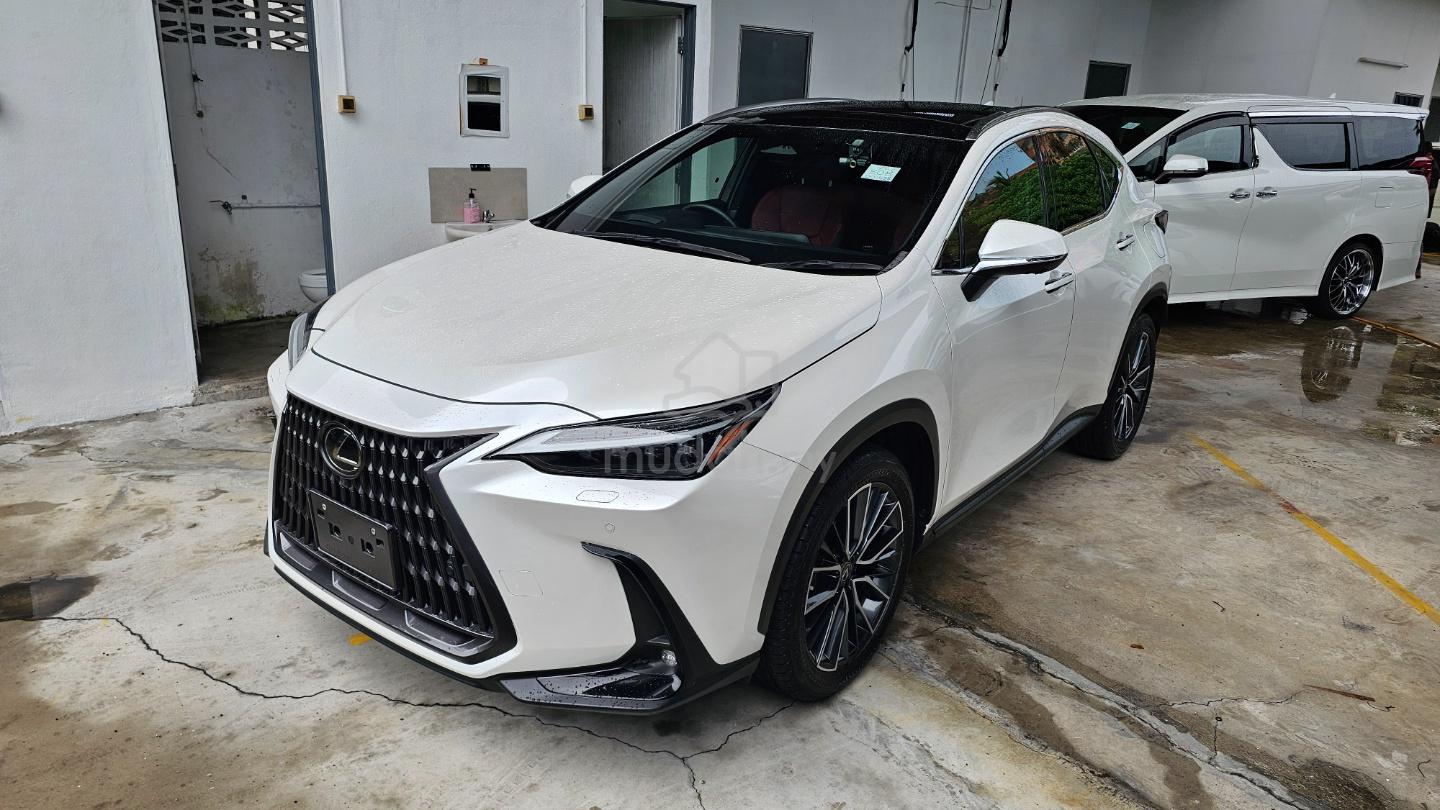 2023 Lexus NX
