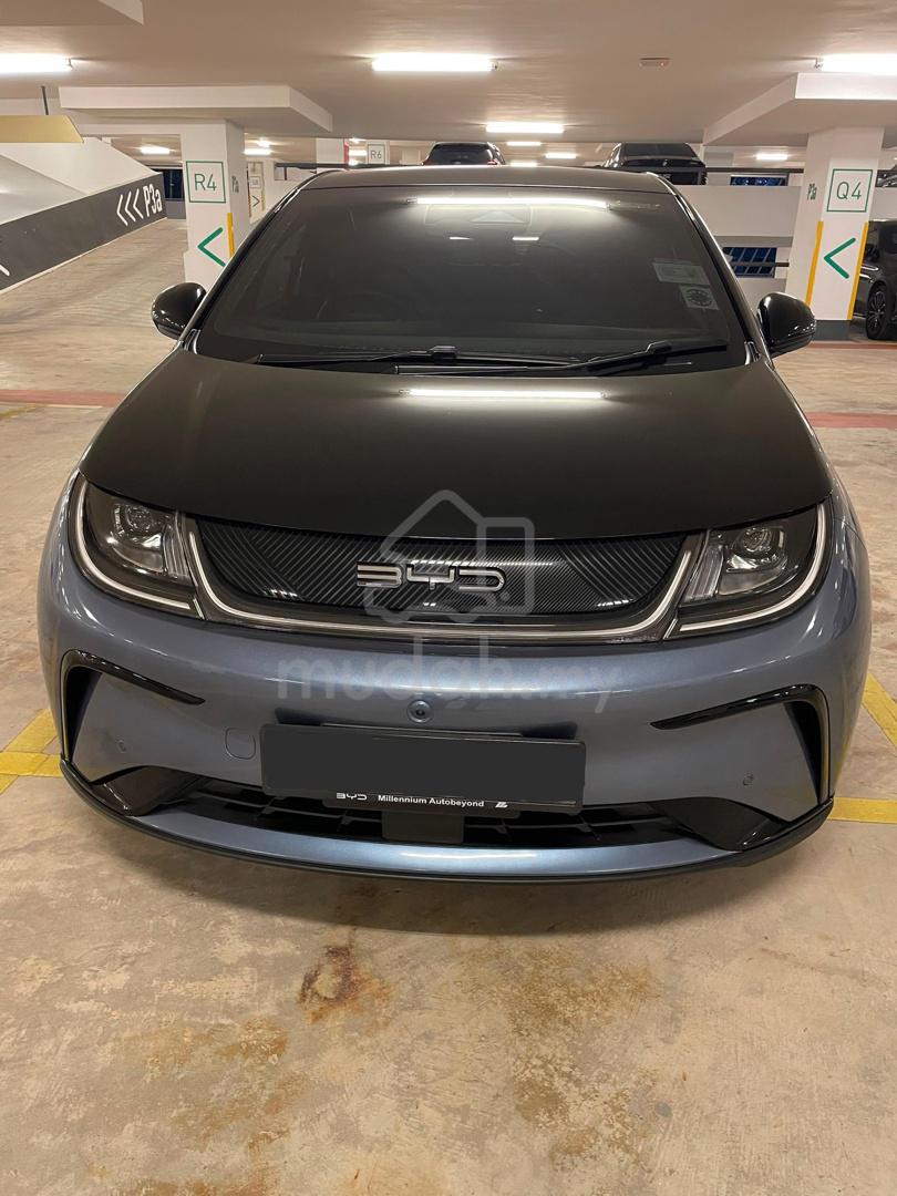 2023 BYD Dolphin