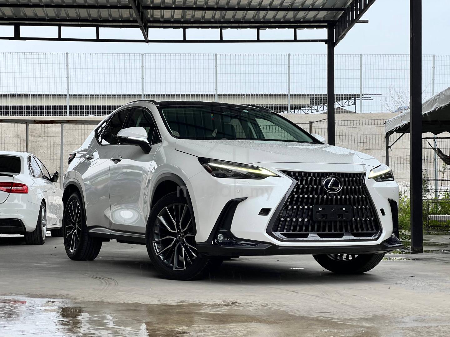 2023 Lexus NX