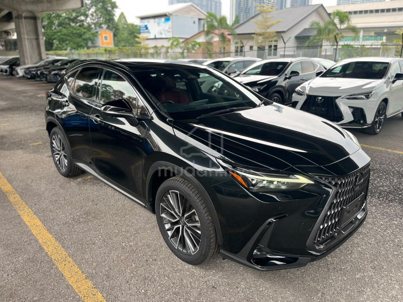2024 Lexus NX