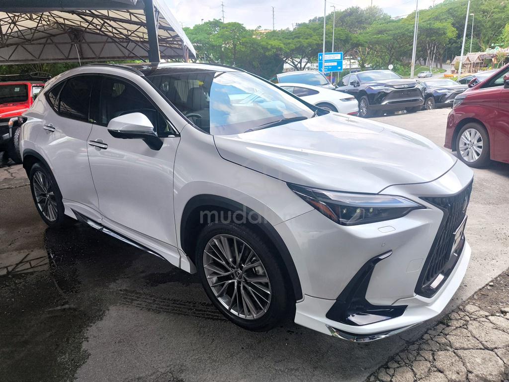 2023 Lexus NX