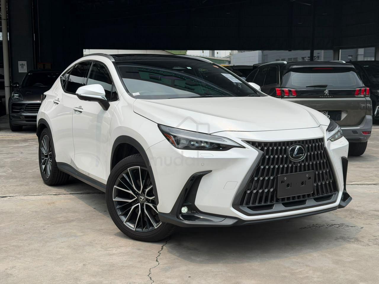 2023 Lexus NX
