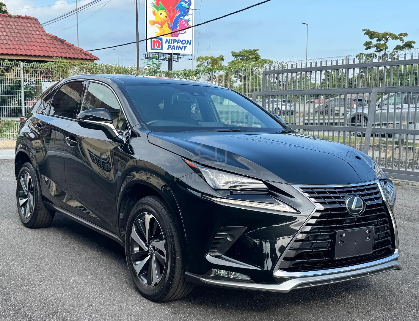 2020 Lexus NX