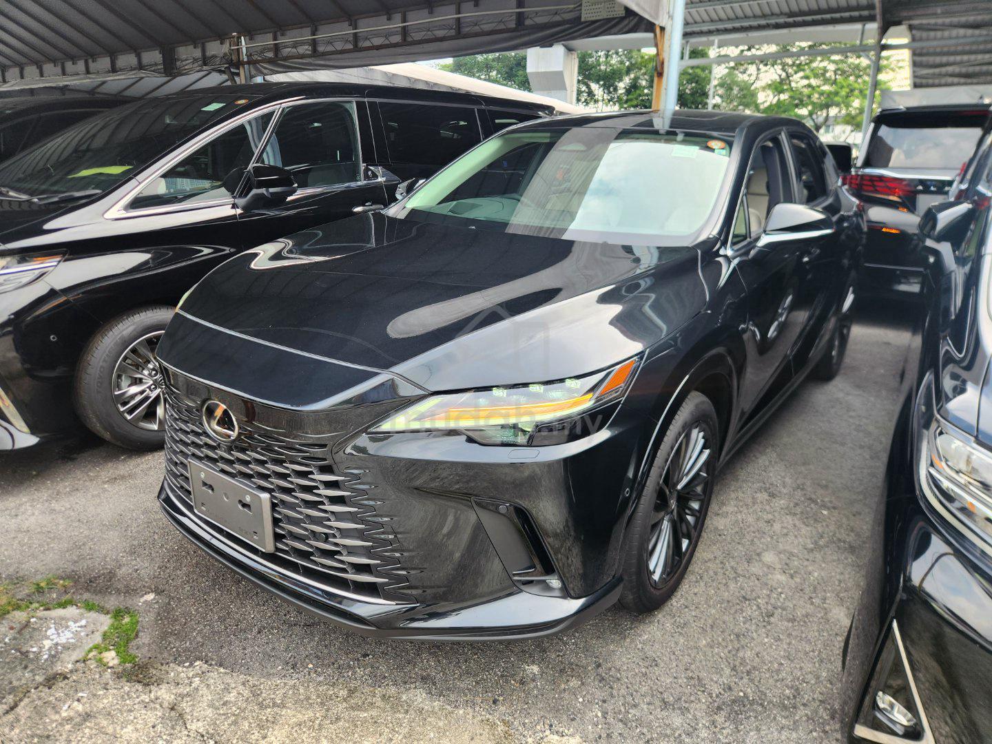 2023 Lexus RX