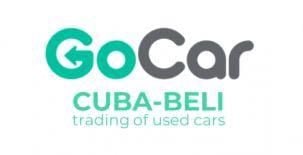 GoCar Jin