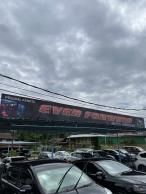 Ever Forward Auto Trading