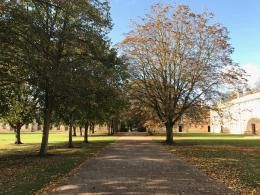 CY PENANG PROPERTIES